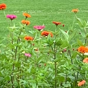 Meet your Posher, Kamila